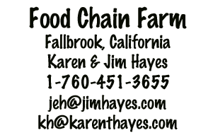 Food Chain Farm
